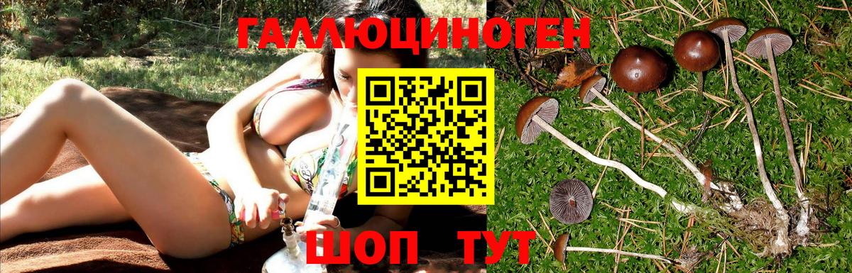 Псилоцибиновые грибы прущие грибы Новозыбков