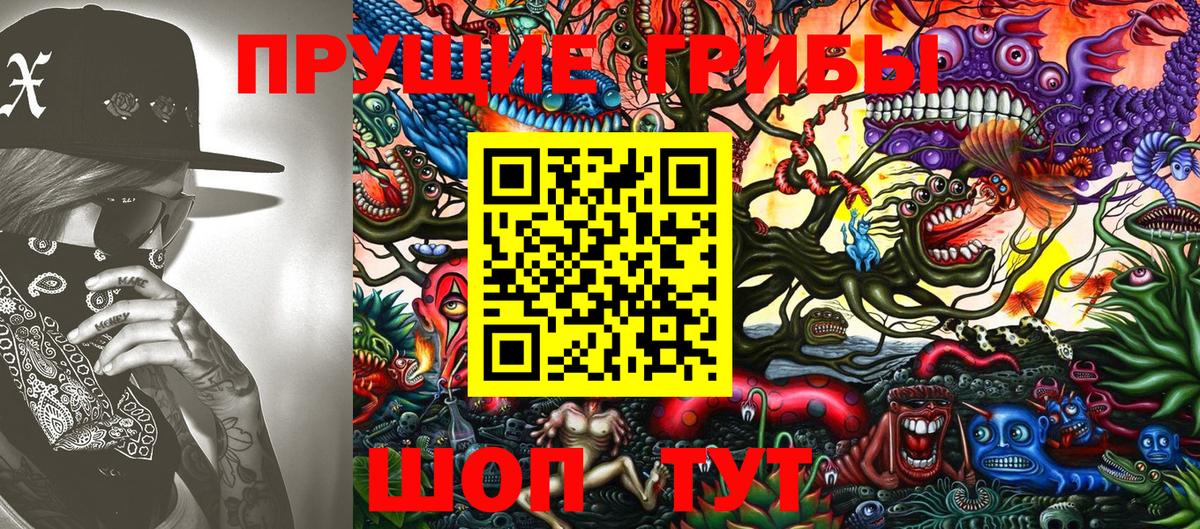 Псилоцибиновые грибы мухоморы  Вход с VPN  Новозыбков  Псилоцибиновые грибы мухоморы 